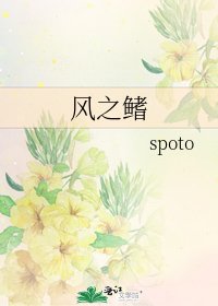 风之鳍