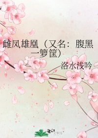 《雌凤雄凰(又名:腹黑一箩筐)》