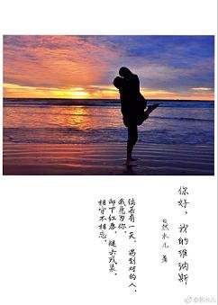 《你好,我的维纳斯》