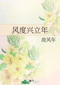 風度興立年