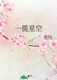 《一揽星空》