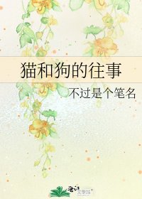 猫和狗的往事