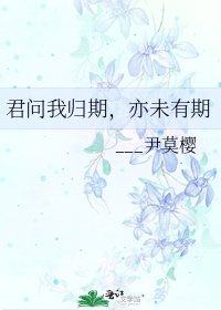 《君问我归期,亦未有期》