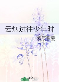 《云烟过往少年时》