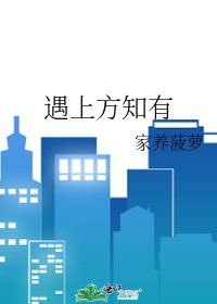 《遇上方知有》